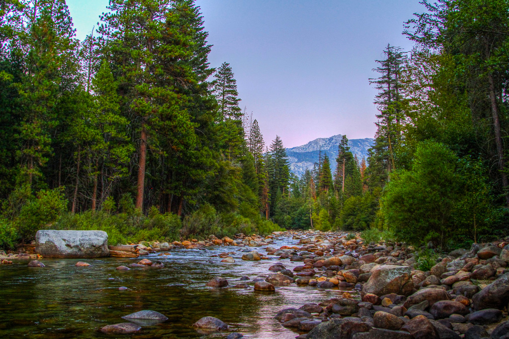 Sequoia and Kings Canyon 2016